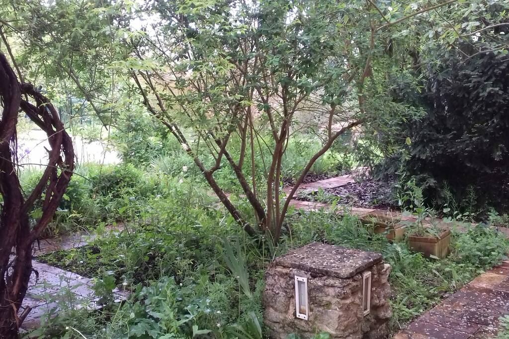 jardin