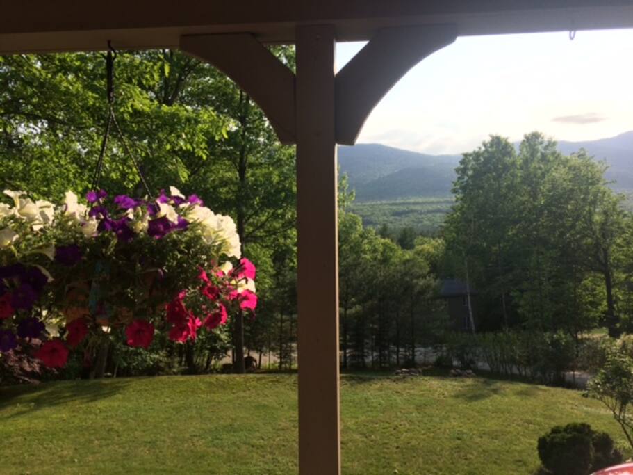 View from Front Deck