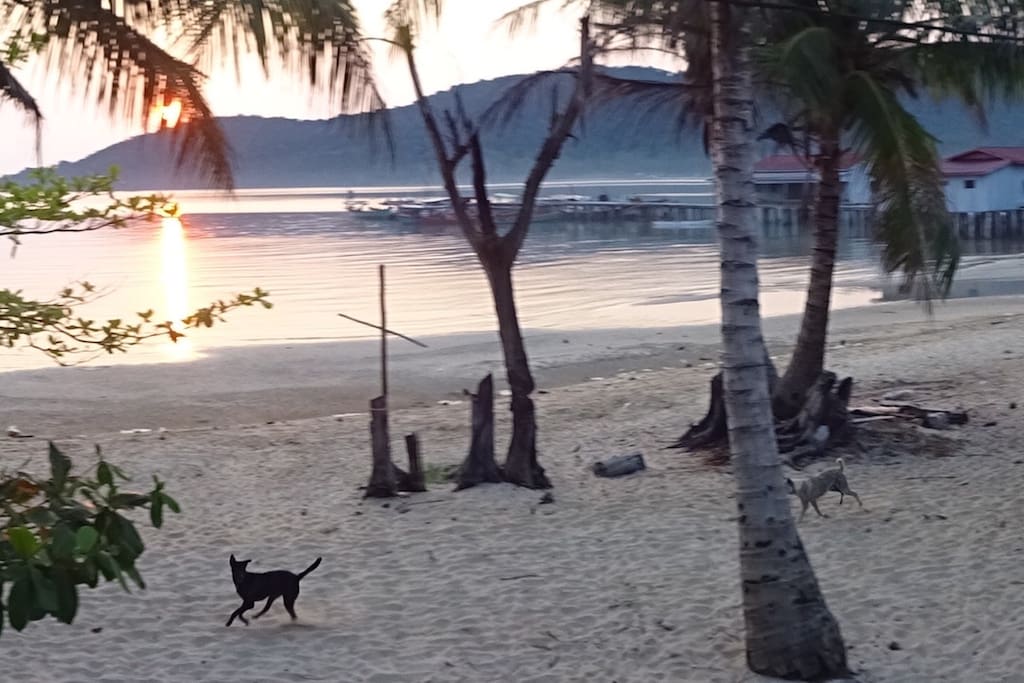 Morning sunrise across beach and village