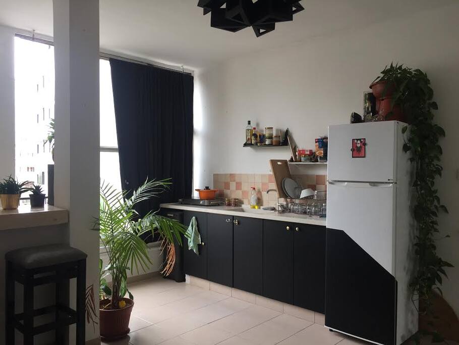 Studio: Living-room and kitchen