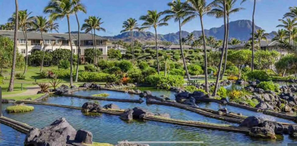 Come for the Holidays 2/2 Kauai Dreams