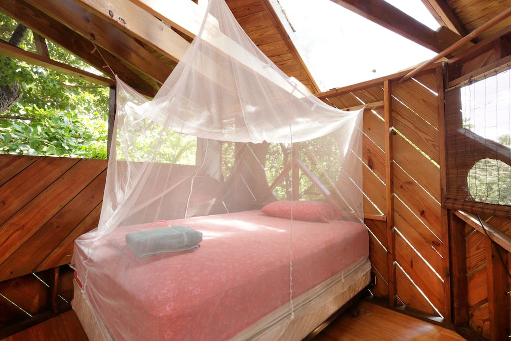 Treehouse Canopy Room: Permaculture Farm Treehouses for Rent in Miami, Florida, United States Treehouse Canopy Room: Permaculture Farm Treehouses for Rent in Miami, Florida, United States
