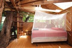 Treehouse+Canopy+Room%3A+Permaculture+Farm