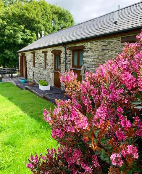 Luxury rural Betws-y-coed cottage