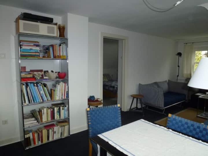 Comfortable attic apartment