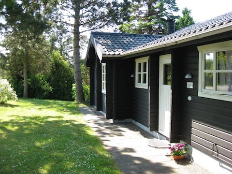 Concentrate of Danish summer cottage coziness