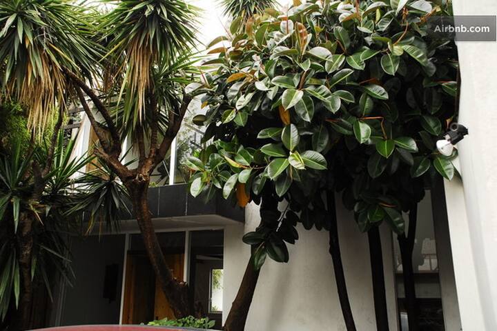 GREAT HOUSE IN S MIGUEL CHAPULTEPEC gallery image 2