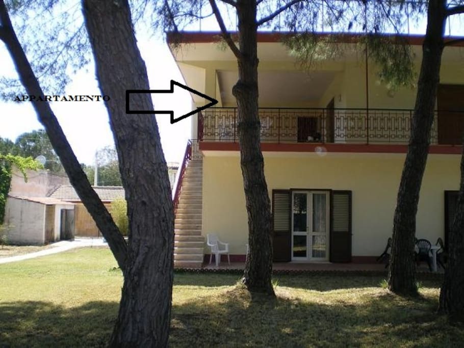 apartment 1
