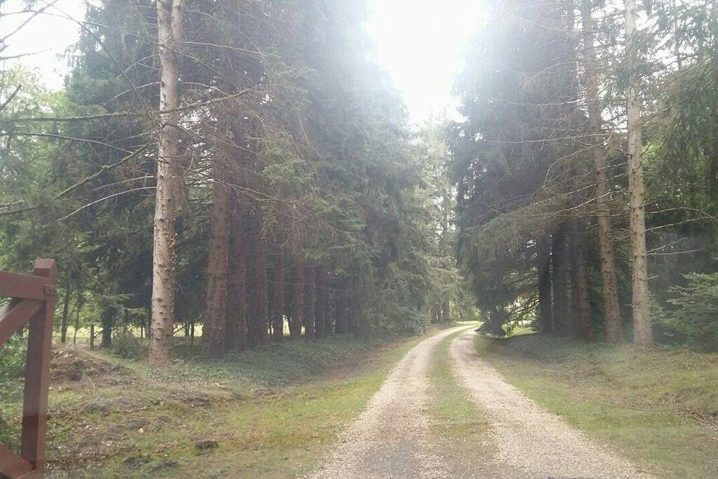 entrée de Laugère