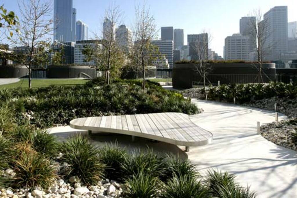 Rooftop area
