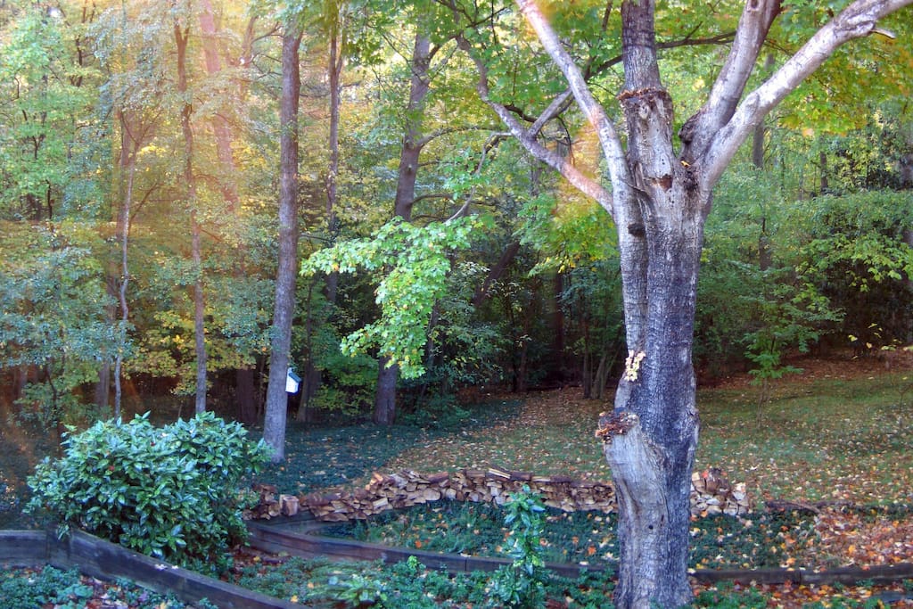 Cozy Wooded View by UNC Houses for Rent in Chapel Hill, North