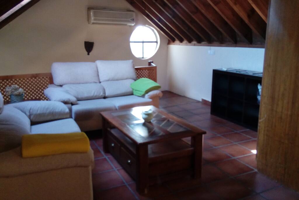 Zona televisión