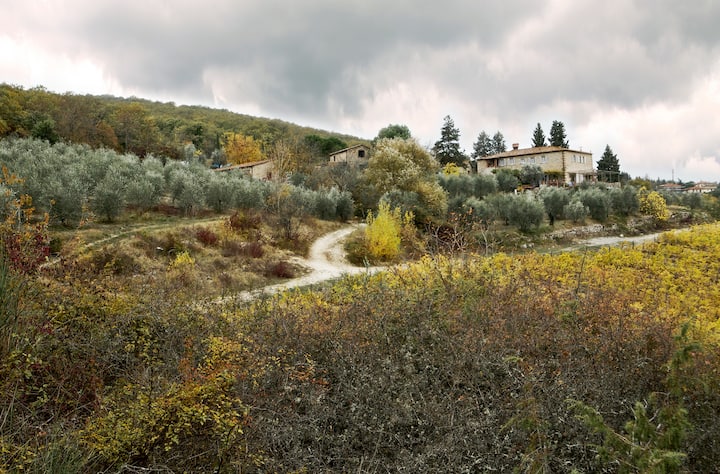 View of the Chianti Valley