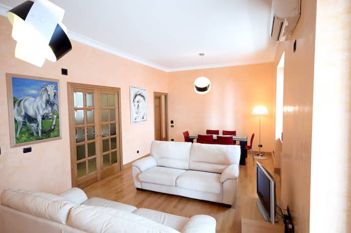 Charming Apartment in Vatican Area