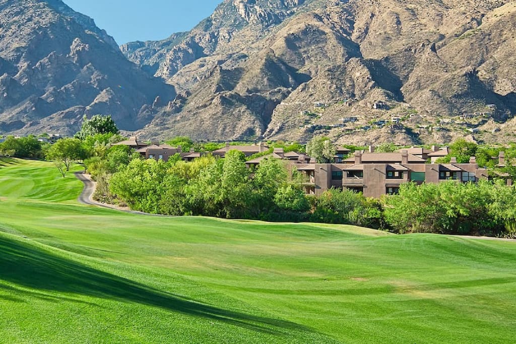 Enjoy Championship Golf Nearby