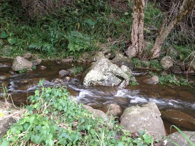 Watch Summer Rental Streaming