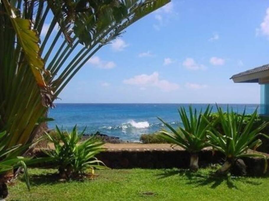 property views