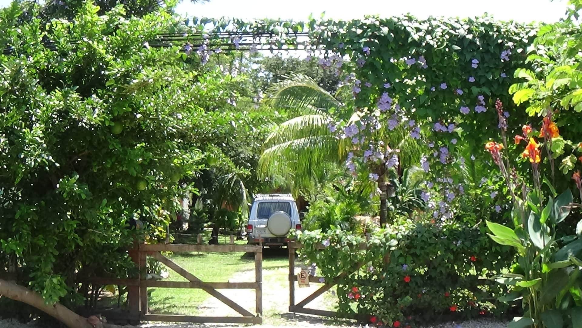 Town Center Private Apt., see Jungle, hear Surf,