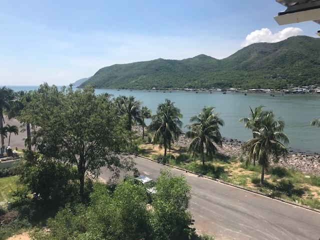A serene view of the coastline features gentle waves lapping at the shore, framed by palm trees. In the background, rolling hills meet the sky, creating a tranquil setting. A narrow road runs parallel to the waterfront, offering easy access to the area.