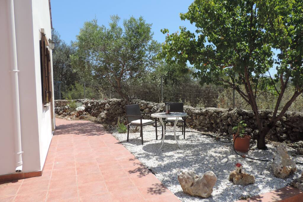 Take Breakfast Under The Apricot Tree.