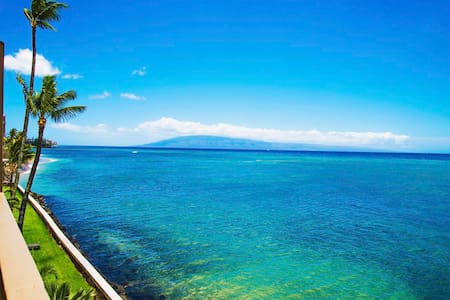 MAUI DIRECT OCEAN FRONT FOR REAL! Super Private!