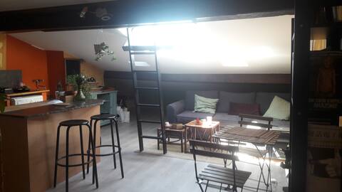 CHARMANT APPARTEMENT SUR LES PENTES DE LYON