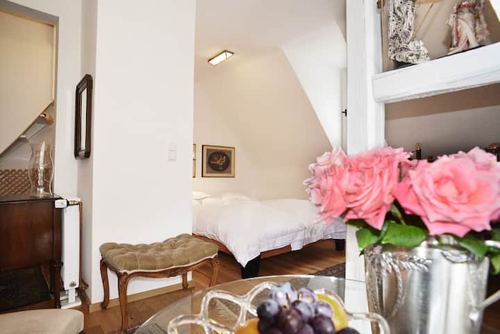 Comfortable comfortable apartment central