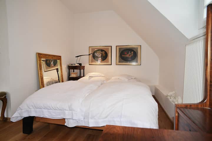Comfortable comfortable apartment central