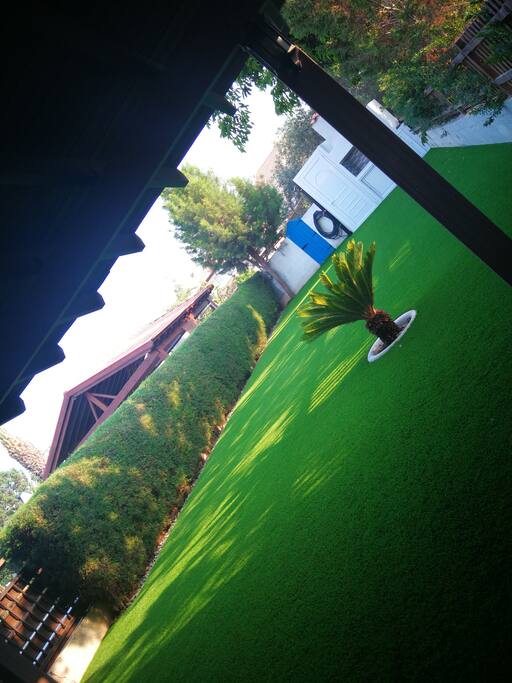 Beautiful yard!!