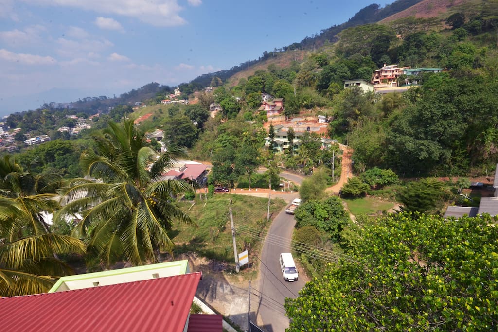 Hill side around the house.