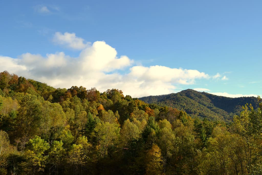 Cozy Cabin in Appalachian Mountains Cabins for Rent in Green Mountain
