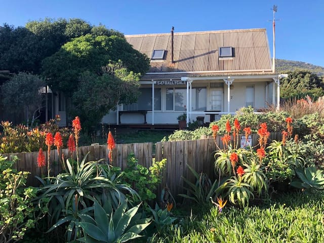 Ballygale 547 – Family Beach Retreat