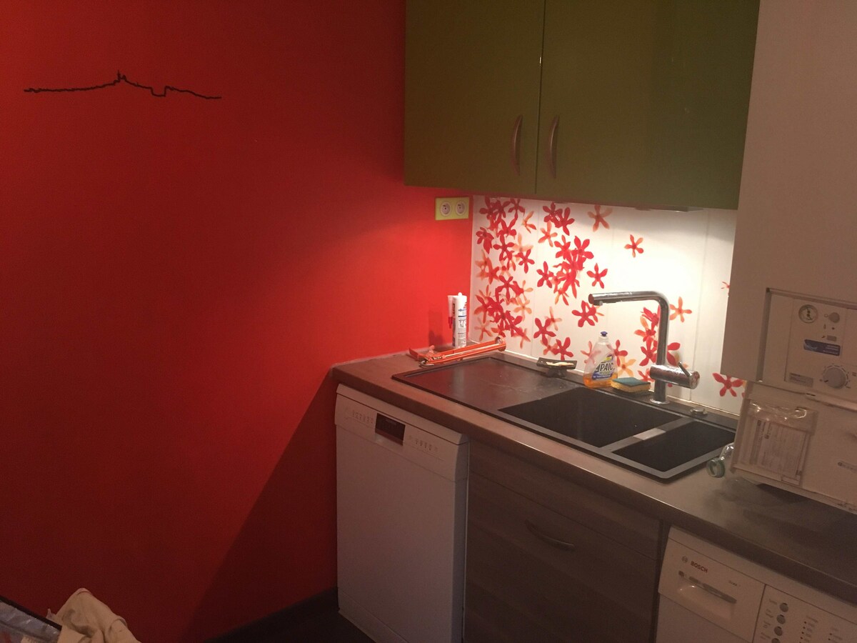 A compact kitchen area is highlighted by a vibrant red wall adorned with floral accents. Modern cabinets in green and grey provide storage, while stainless steel appliances, including a dishwasher and sink, are integrated into the workspace. Counter space is available for meal preparation.
