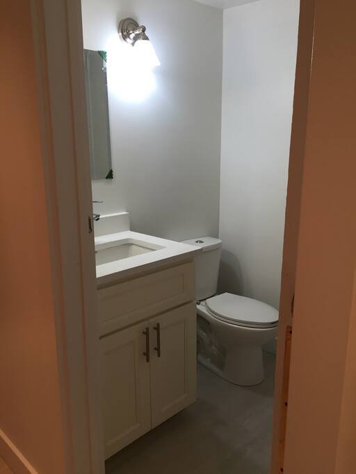 Bathroom vanity and toilet
