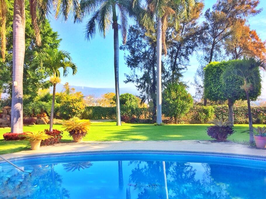Alberca/ Pool