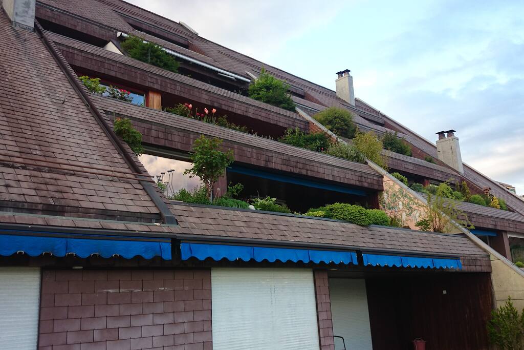 terrasse sud, vue depuis le sud