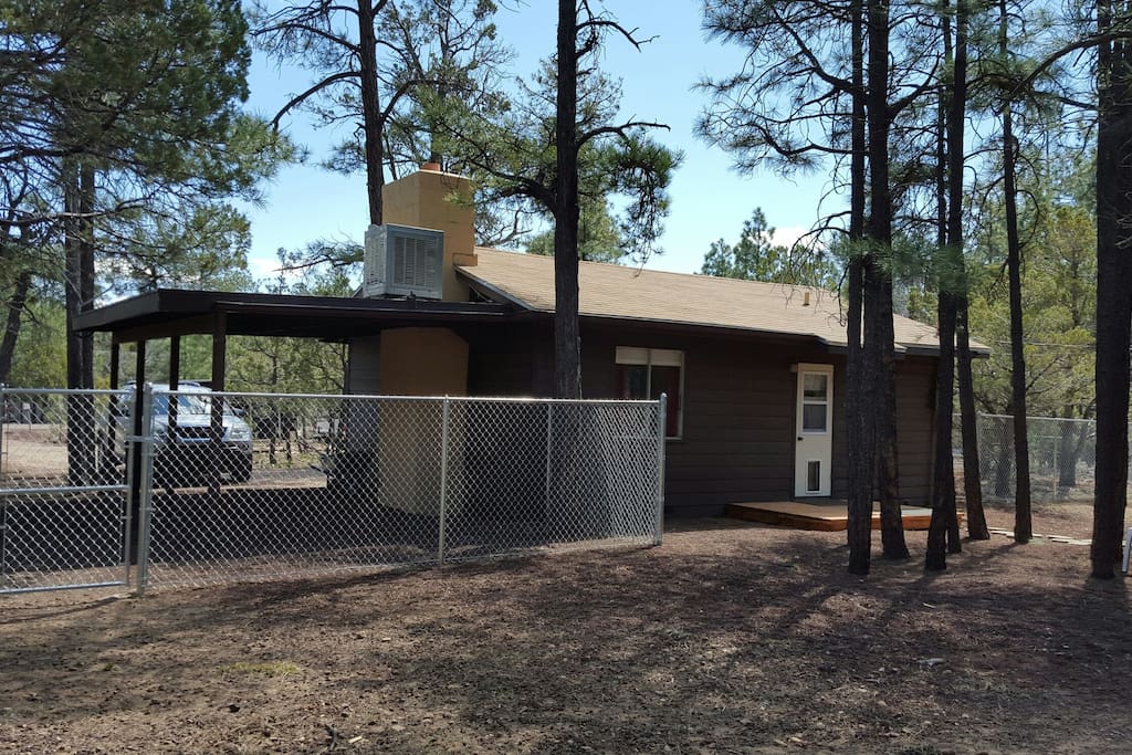 Huge fenced backyard
