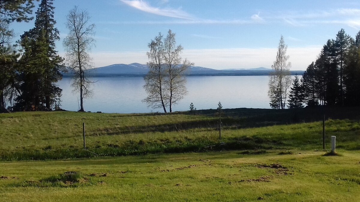 A serene view of Storsjön is captured, with calm waters reflecting the sky. Lush green grass stretches toward the edge of the lake, framed by scattered trees. In the distance, gentle mountains create a peaceful backdrop under a clear sky.