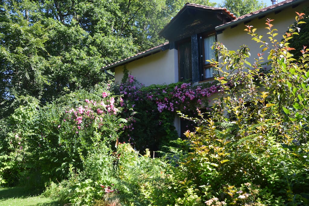 La maison et le jardin