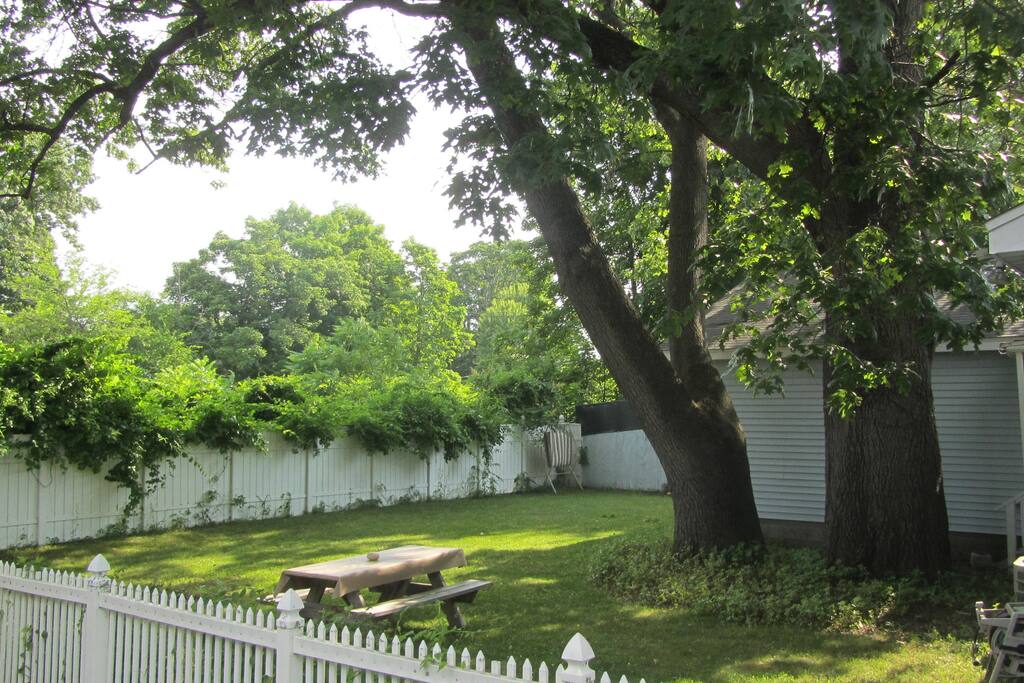 Private backyard with fire bowl, hammock, picnic table and 6 comfy outdoor chairs.