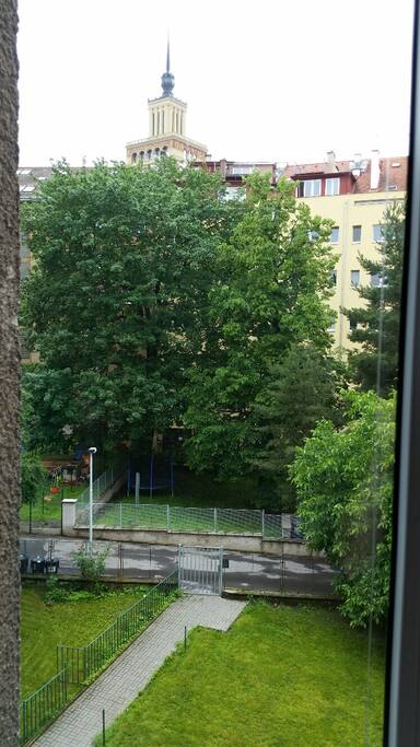 View from the flat