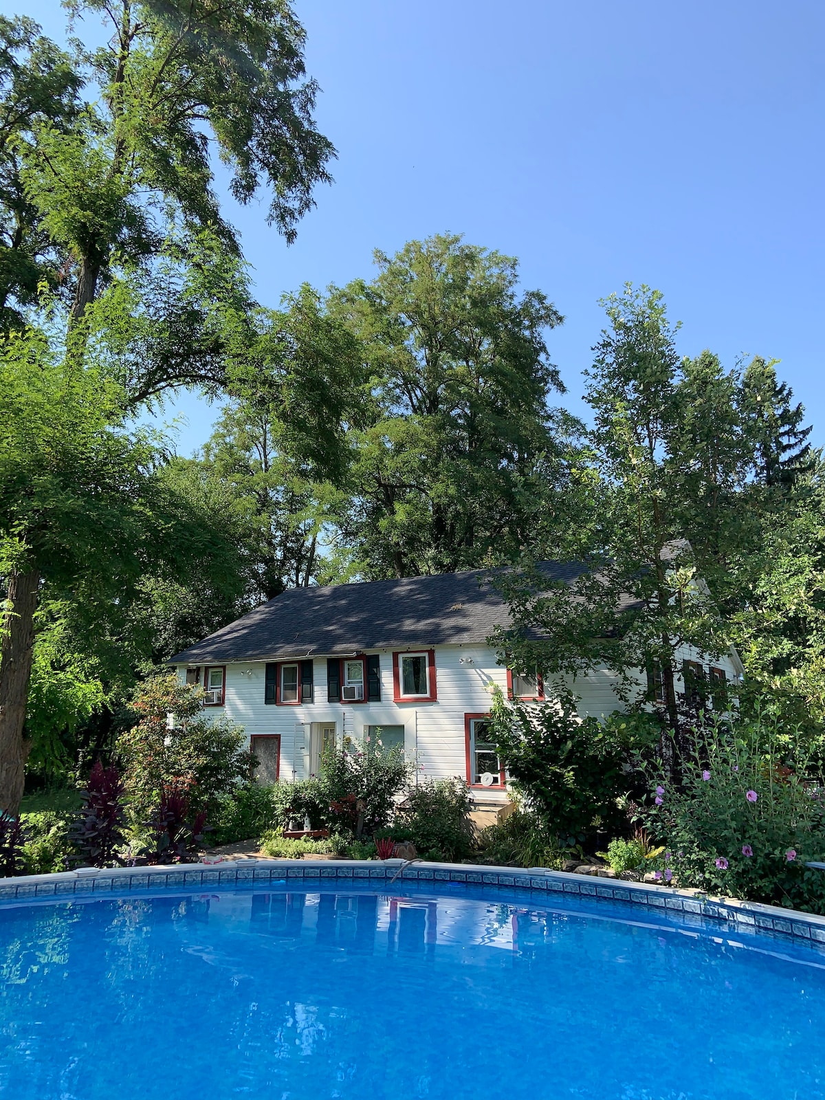 A white house with dark shutters is surrounded by lush greenery, including tall trees and vibrant flower beds. The scene is framed by a sparkling blue pool in the foreground, reflecting the clear sky above.
