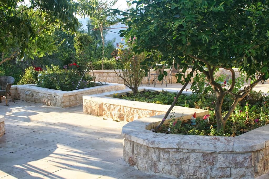 Enjoy the garden
