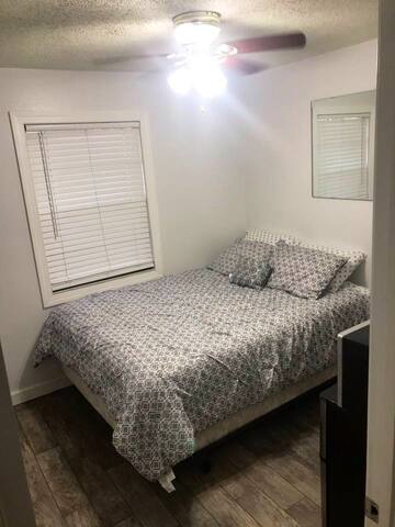 House in safety harbor by the bay