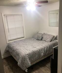 Safety harbor paradise by the bay