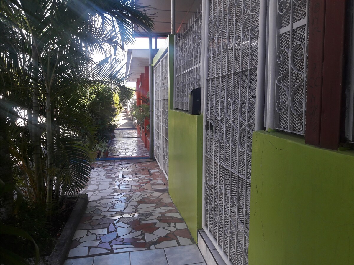 A pathway lined with decorative stone tiles is flanked by vibrant greenery and potted plants. The entrance features a metal gate and a bright green wall. Natural light filters through the surrounding foliage, providing a lively atmosphere.