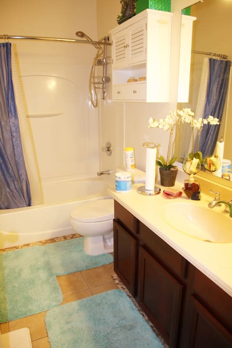 Full bathroom(tub,shower, toilet w/ bidet)