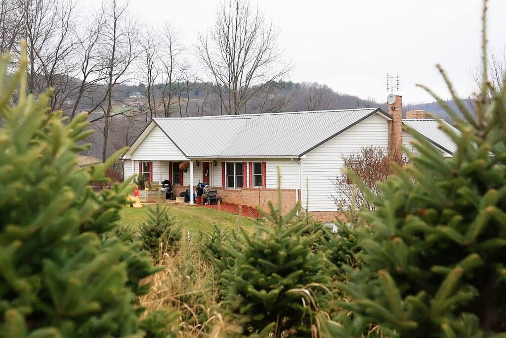 House from the tree field