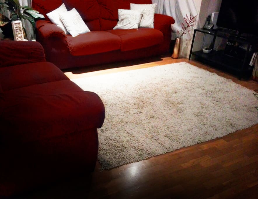 Living Room with access to everything you should need.