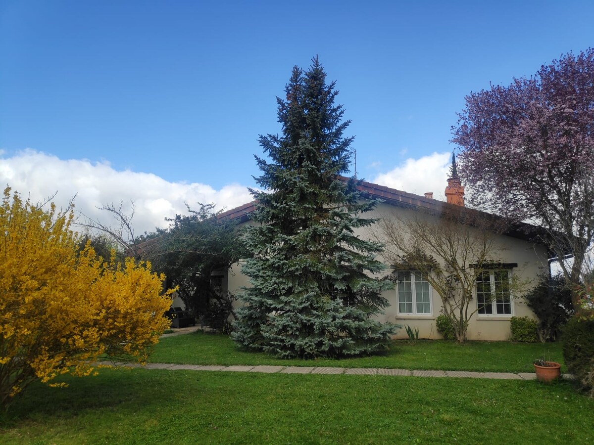 A large rural house is surrounded by a well-maintained garden, featuring a prominent evergreen tree and blooming plants. A pathway leads to a series of windows on the front of the house, against a backdrop of a clear blue sky.